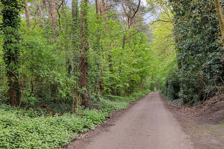 Photo 54 of Het Groen 50