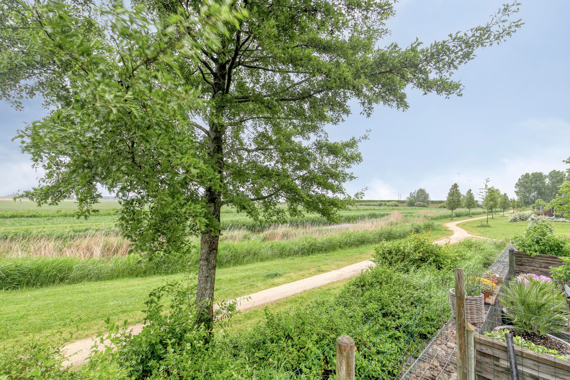 Foto 36 van Wijnverlater 61