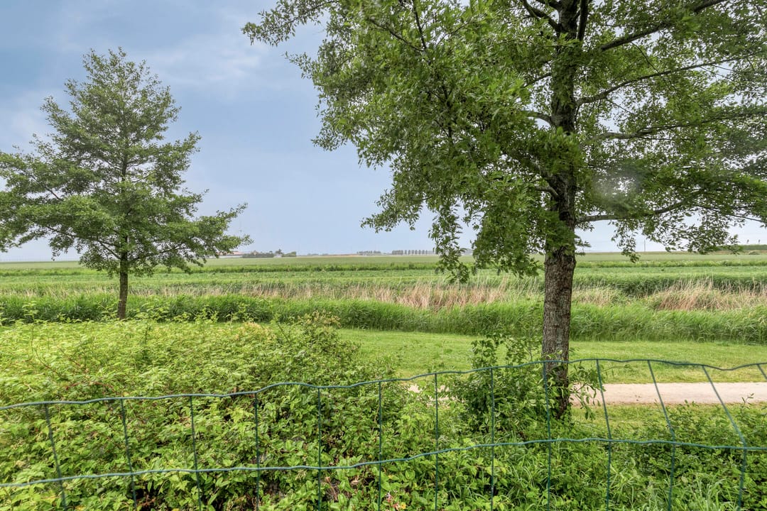 Foto 37 van Wijnverlater 61