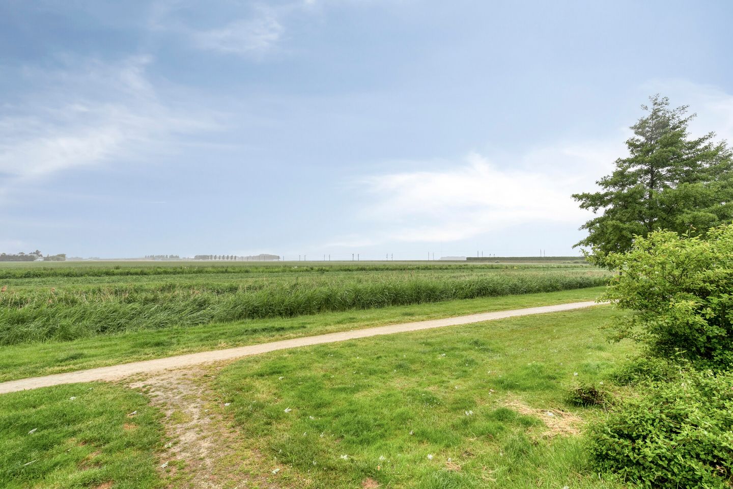 Foto 40 van Wijnverlater 61