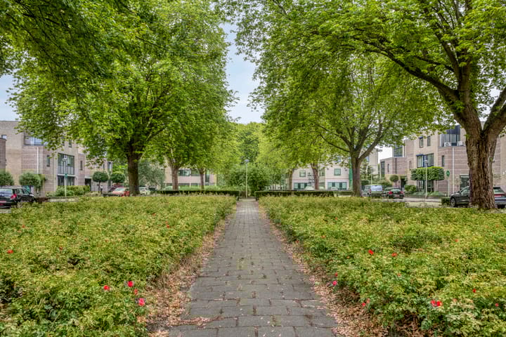 Foto 31 van Havik 14