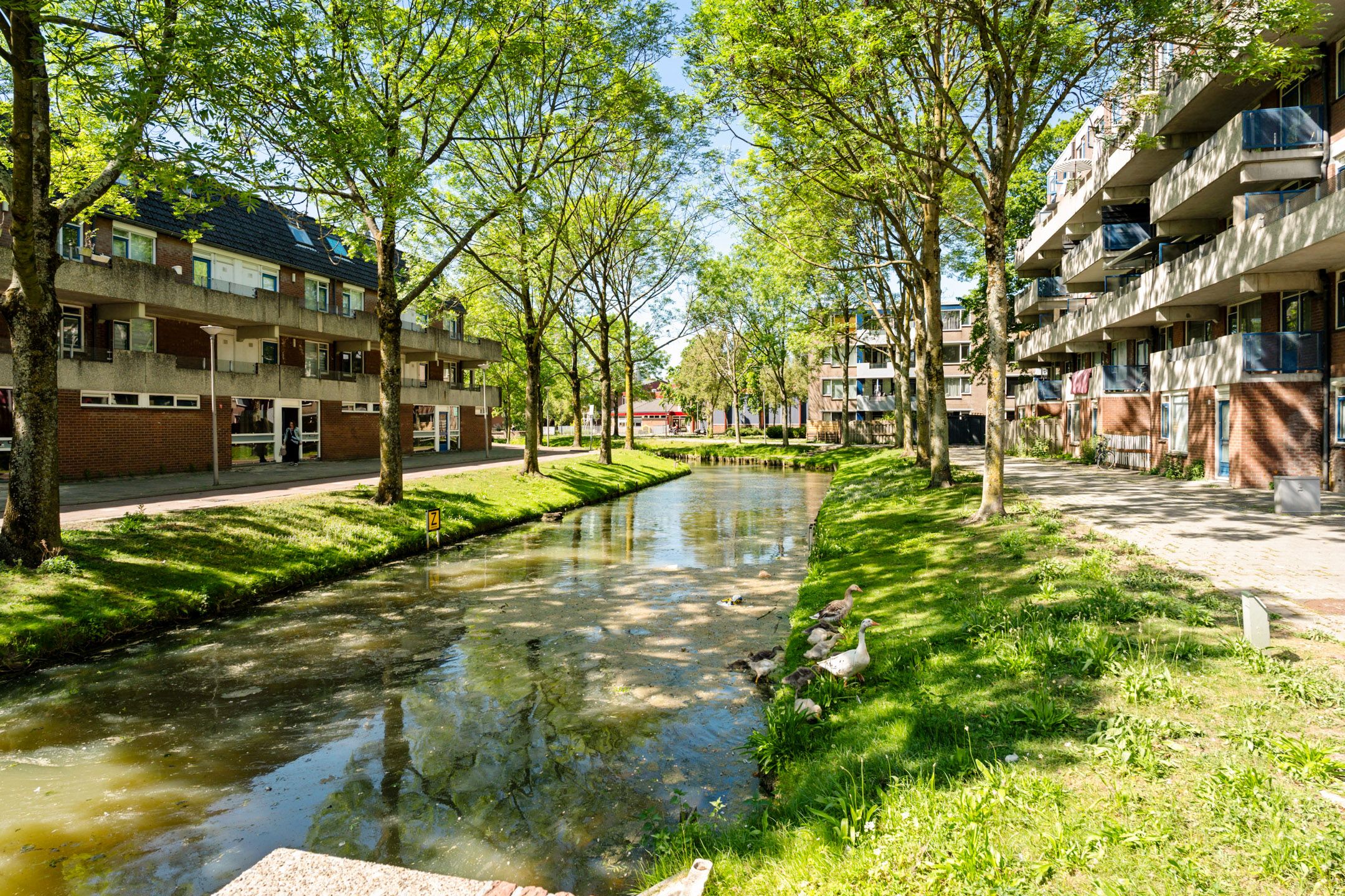Foto 51 van Bordeauxdreef 45