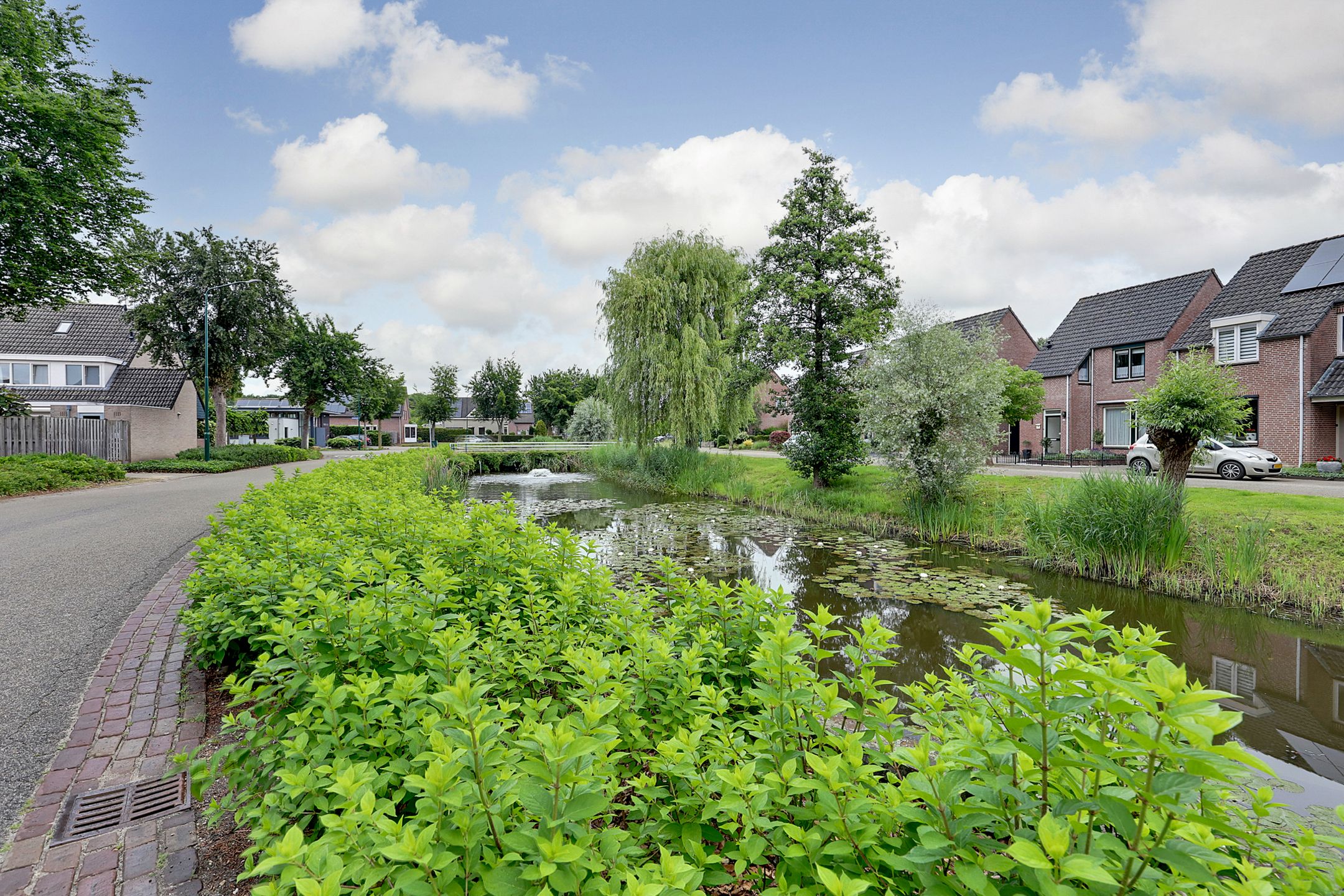 Foto 9 van Heggerank 15