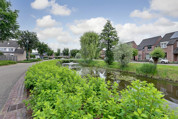 Foto 9 van Heggerank 15