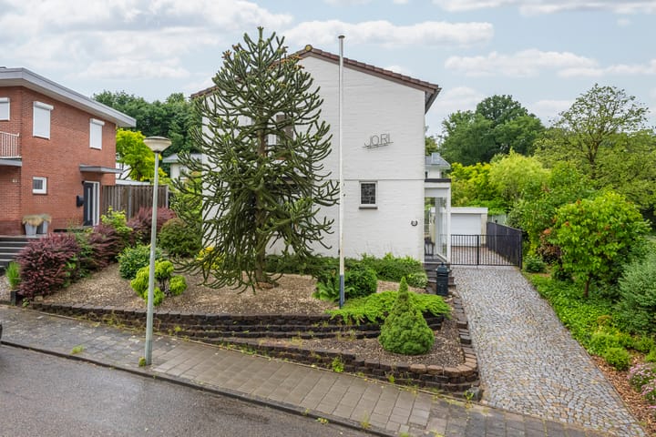 Foto 31 van Willem II-laan 51