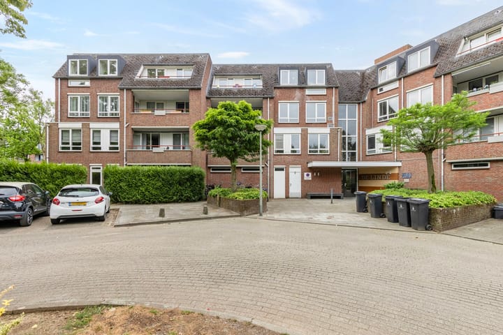 undefined main image