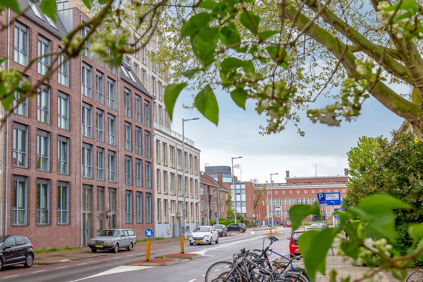 Foto 55 van David van Mollemstraat 33