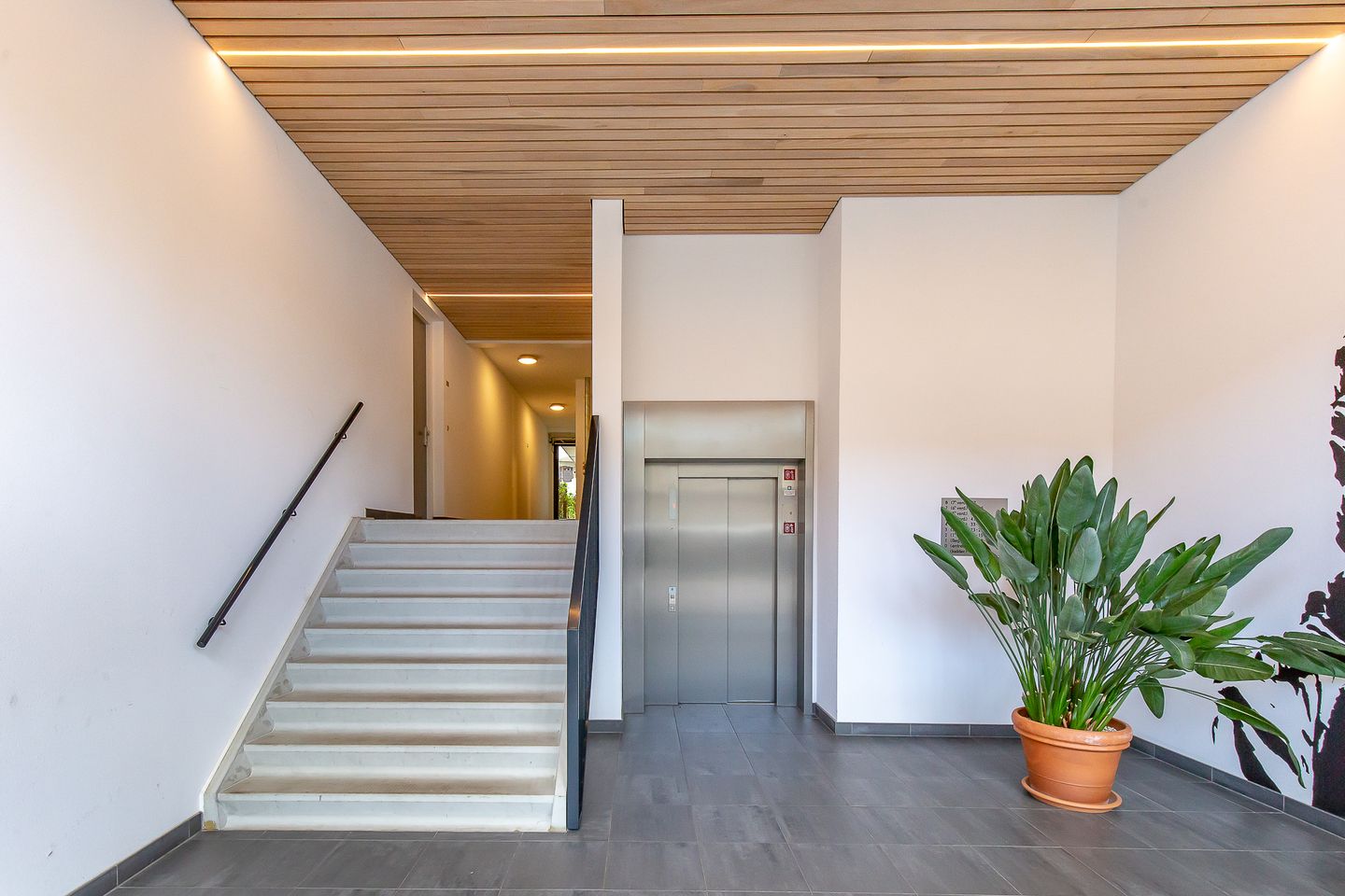 Foto 44 van David van Mollemstraat 33