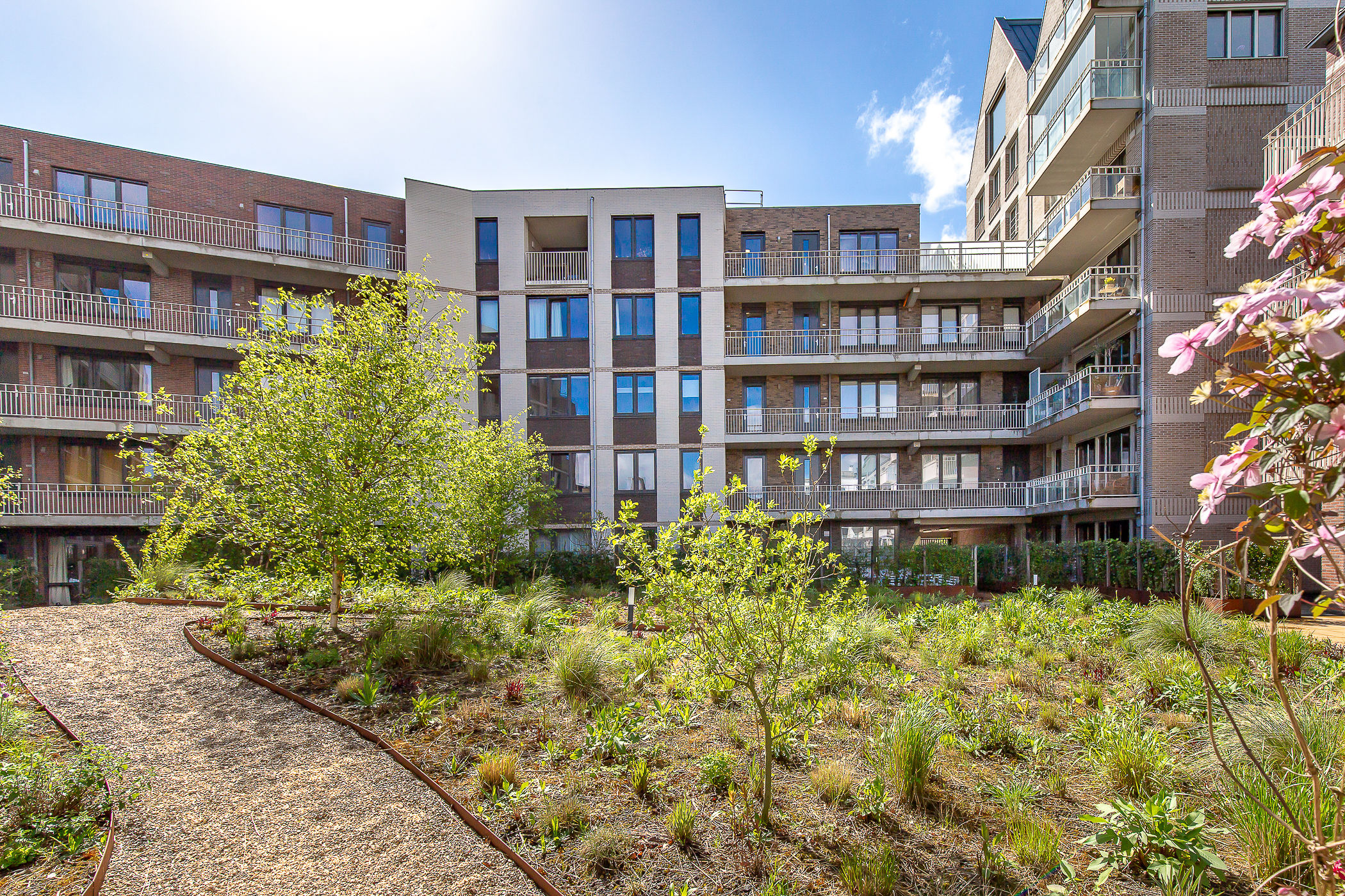 Foto 48 van David van Mollemstraat 33