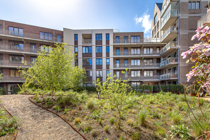 Foto 48 van David van Mollemstraat 33