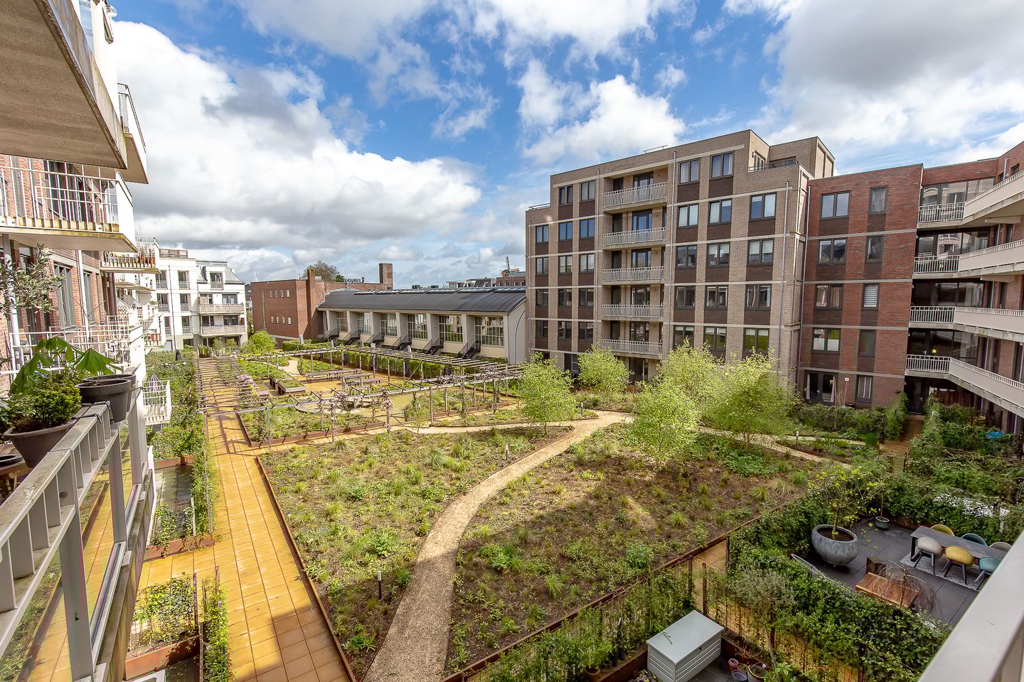 Foto 49 van David van Mollemstraat 33