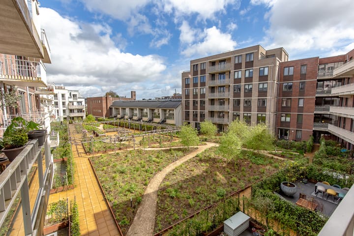 Foto 49 van David van Mollemstraat 33