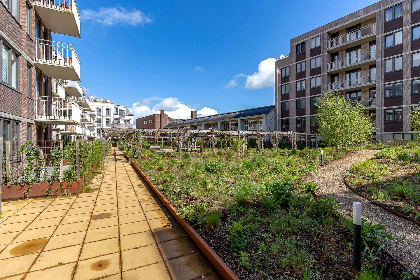 Foto 50 van David van Mollemstraat 33