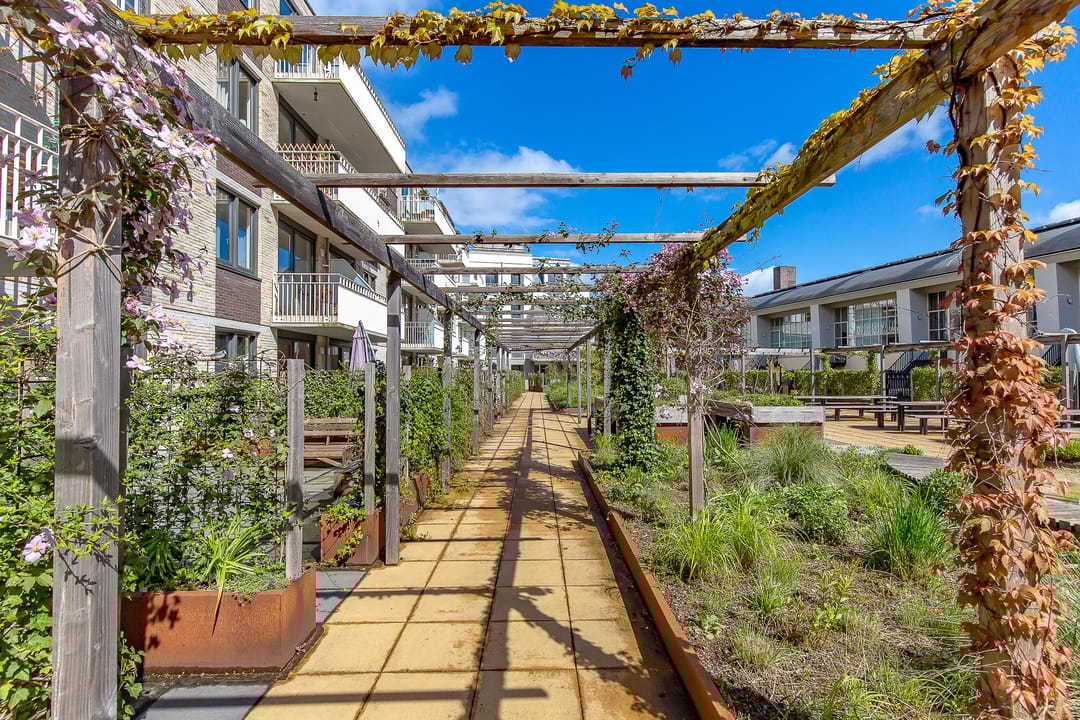 Foto 52 van David van Mollemstraat 33