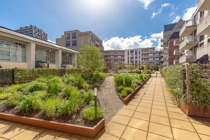 Foto 53 van David van Mollemstraat 33