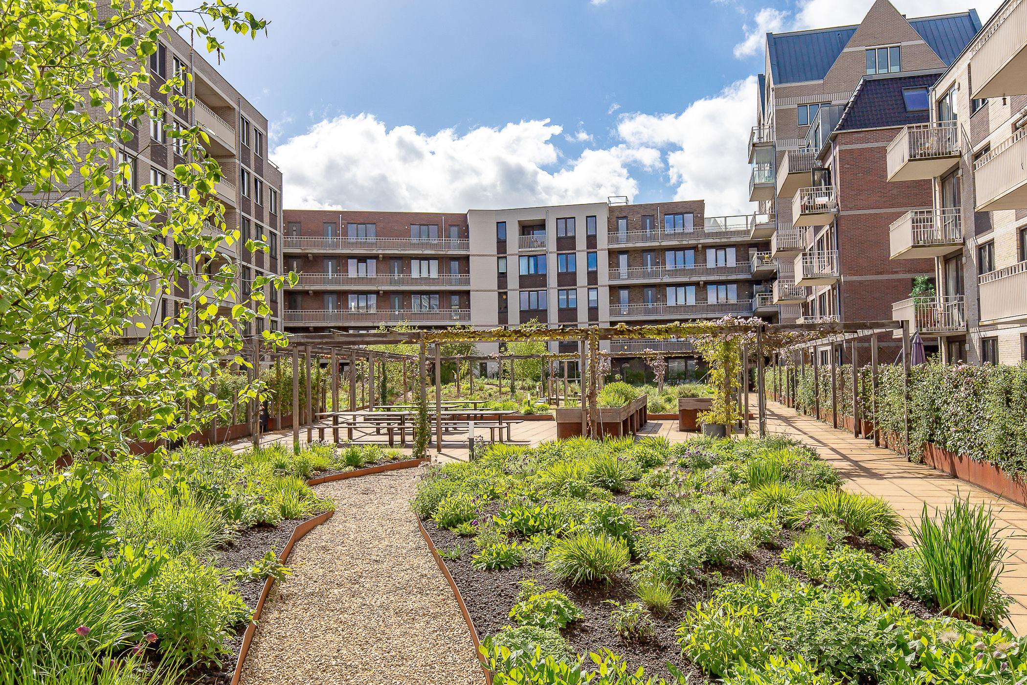 Foto 54 van David van Mollemstraat 33