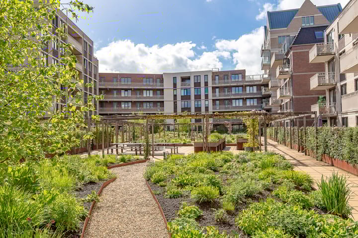 Foto 54 van David van Mollemstraat 33