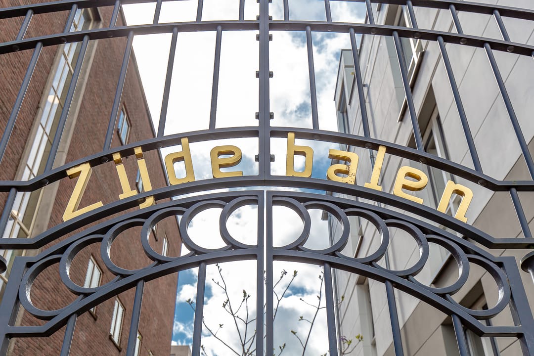 Foto 58 van David van Mollemstraat 33