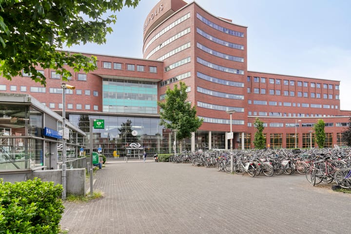 Foto 31 van Piet Mondriaanplein 143