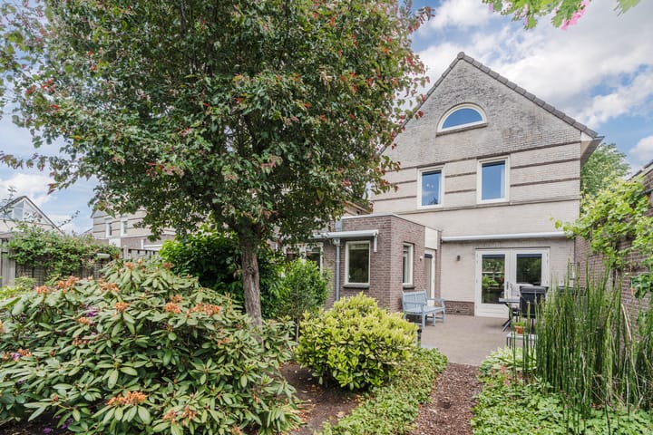 Foto 39 van Schaapvelden 6