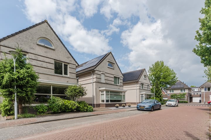 Foto 41 van Schaapvelden 6