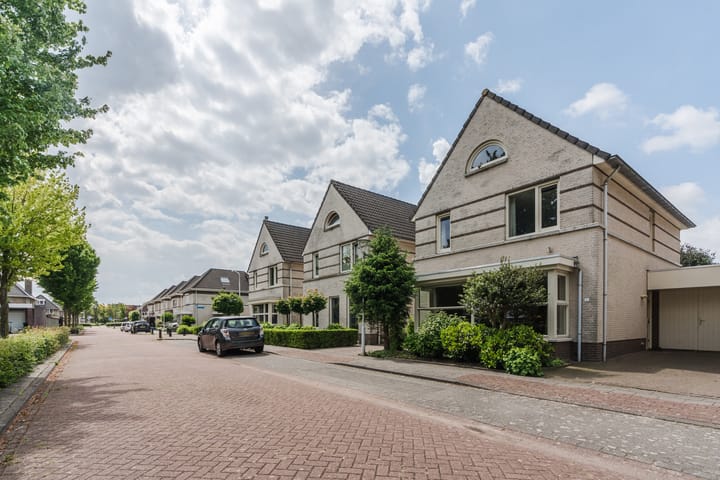 Foto 42 van Schaapvelden 6