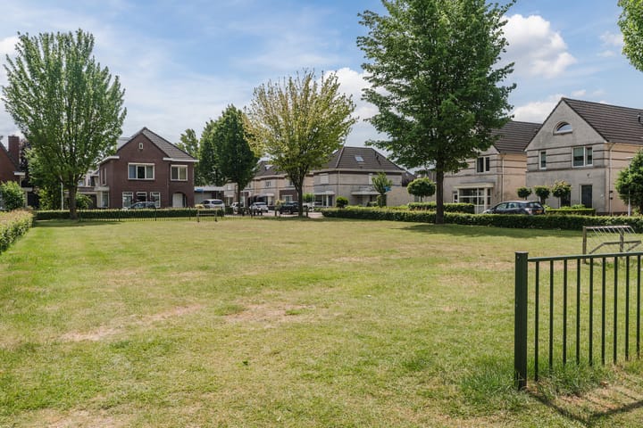 Foto 44 van Schaapvelden 6