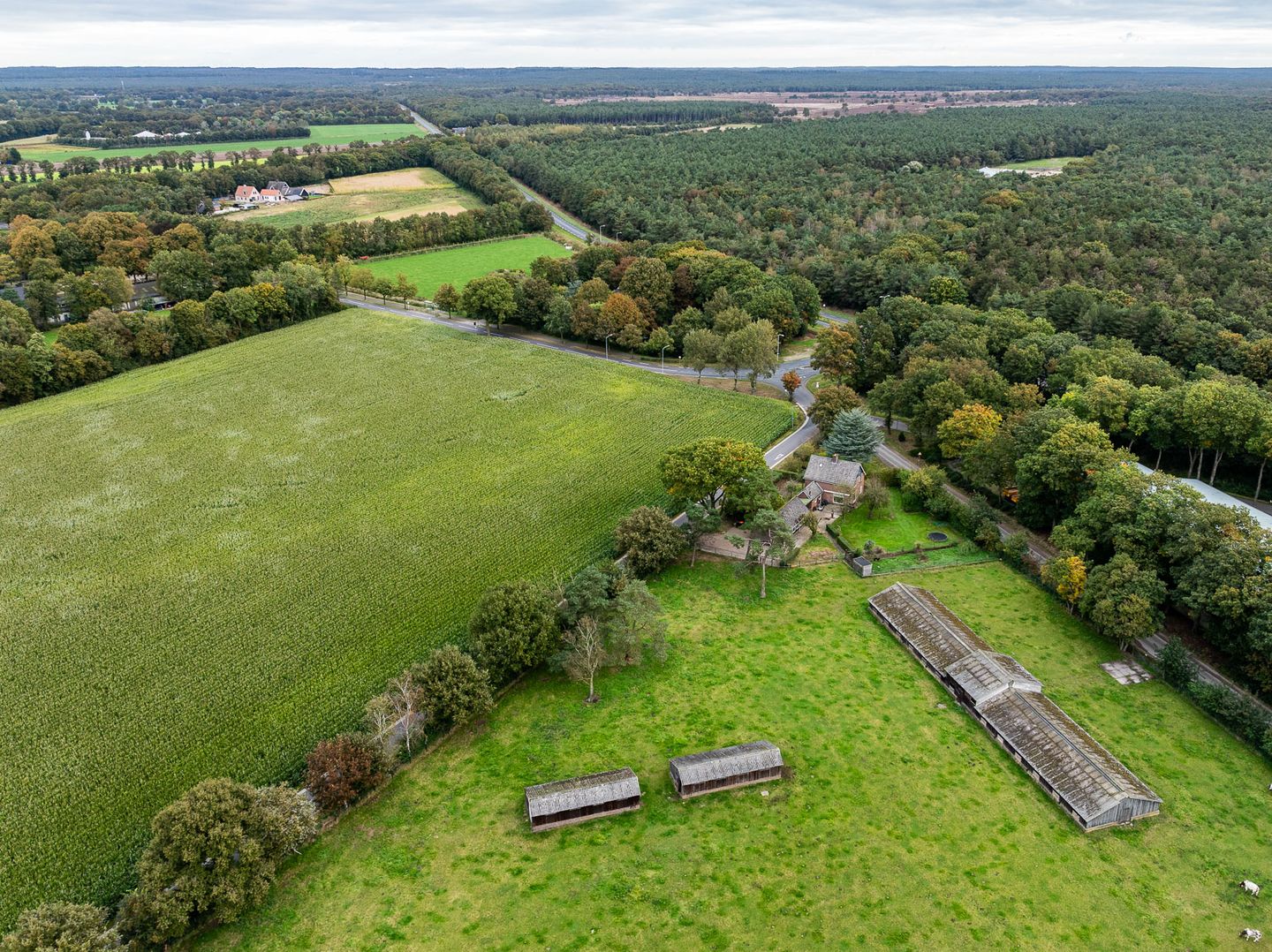 Bekijk foto 1 van Topperweg 60