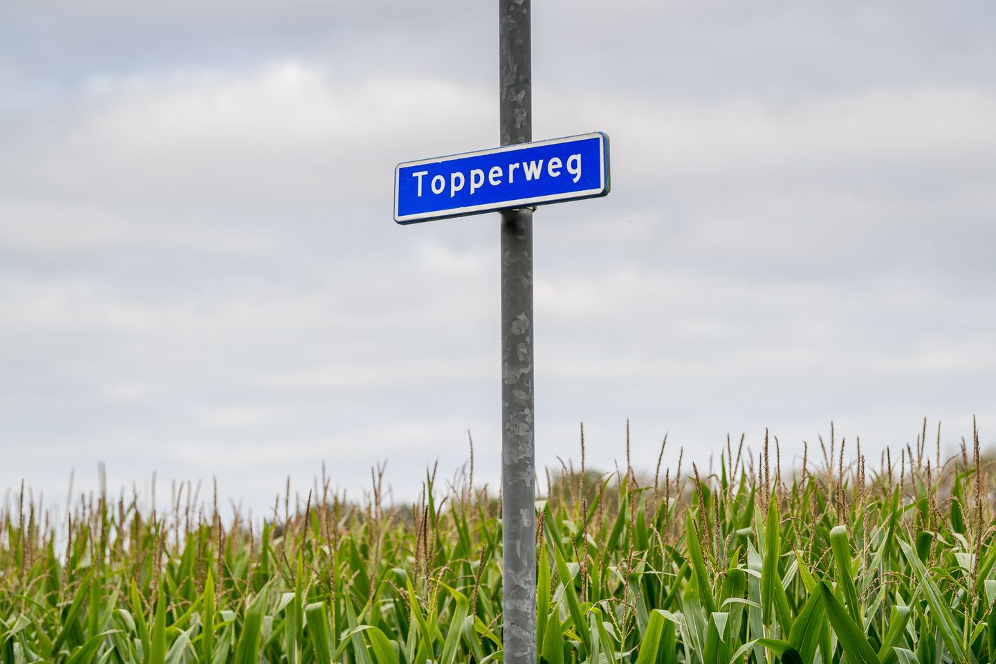 Bekijk foto 2 van Topperweg 60