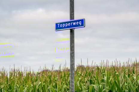 Bekijk foto's