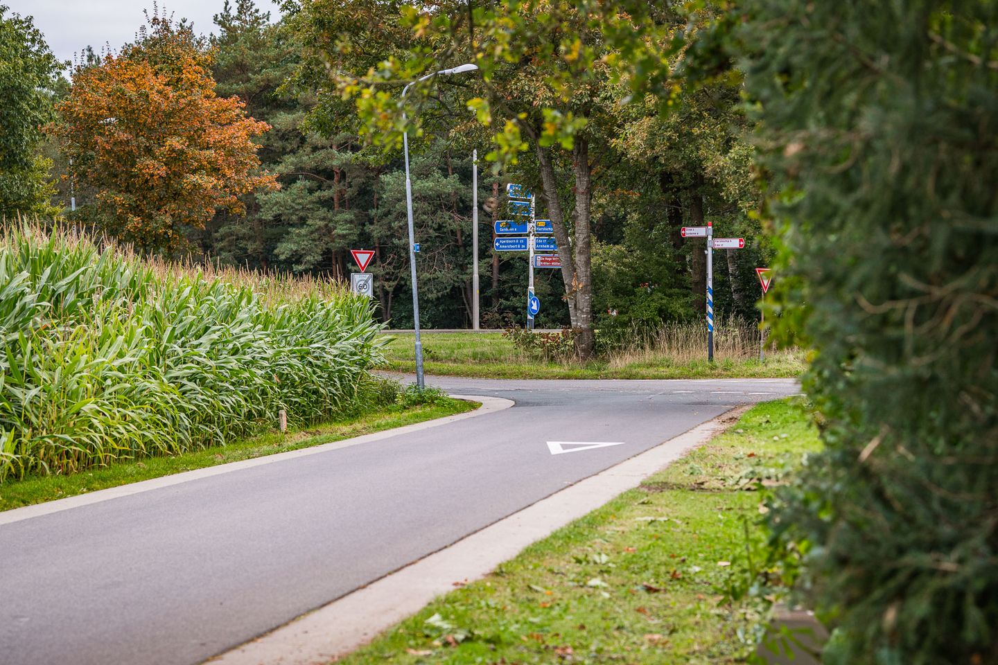 Bekijk foto 3 van Topperweg 60