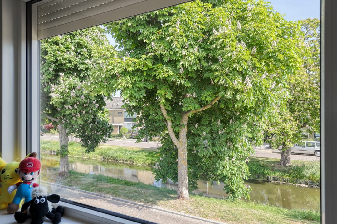 Foto 46 van Prinses Wilhelminasingel 15