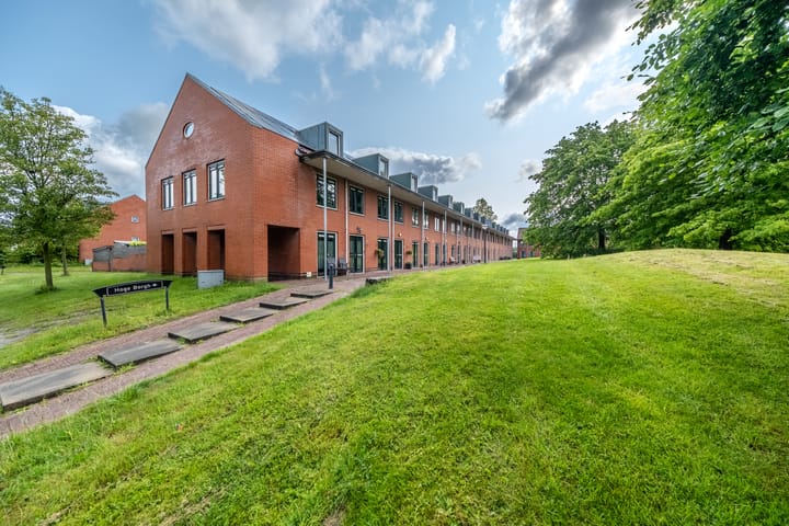 Foto 6 van Hoge Borgh 80