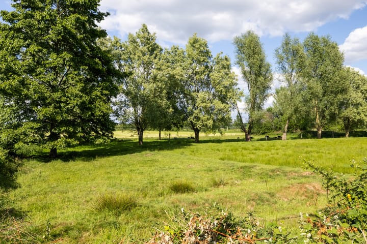 Photo 75 of 't Veld 25