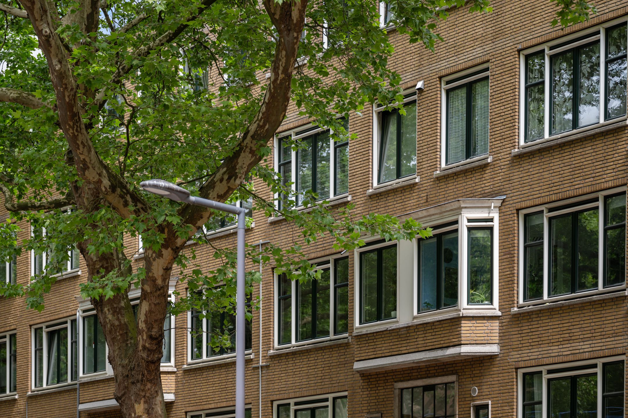 Foto 18 van Mijnsherenlaan 86-D