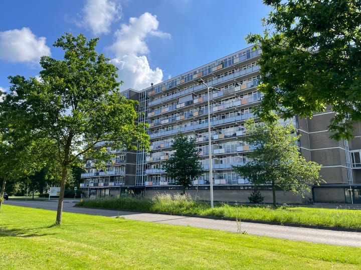 Lupinesingel 422