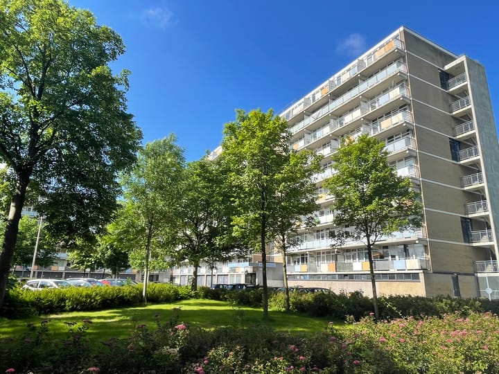 Foto 20 van Lupinesingel 422