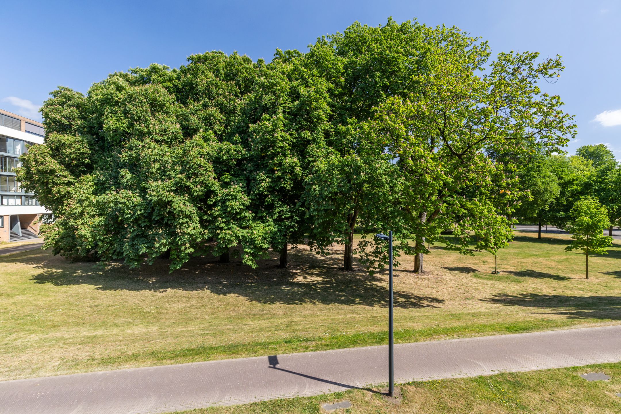 Foto 51 van Coulissen 105