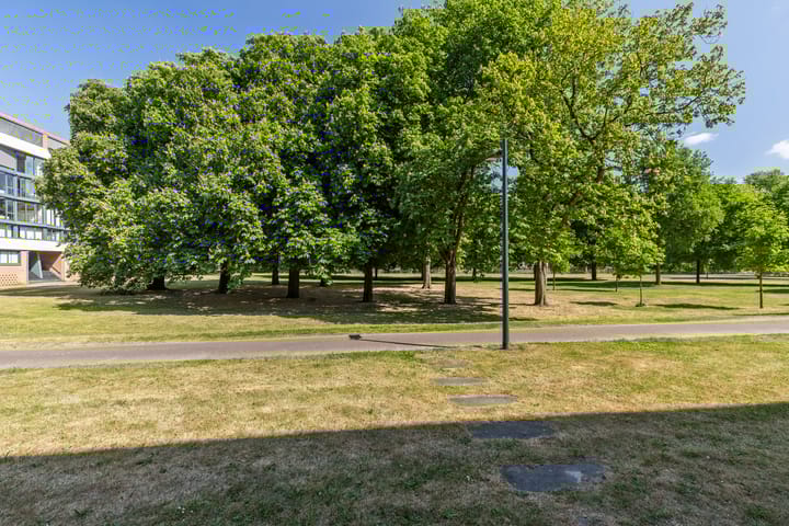 Foto 52 van Coulissen 105