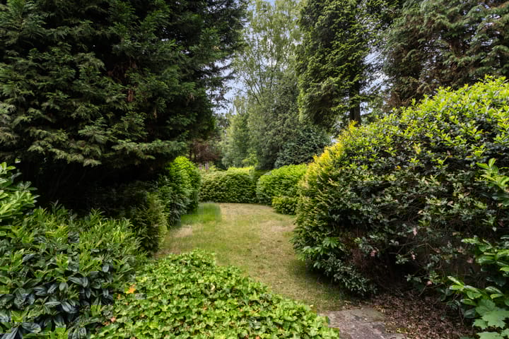 Foto 35 van Tolakkerweg 75