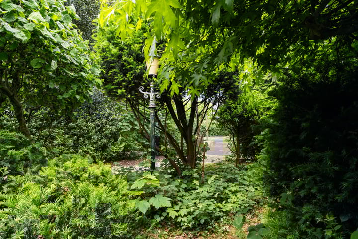 Foto 41 van Tolakkerweg 75