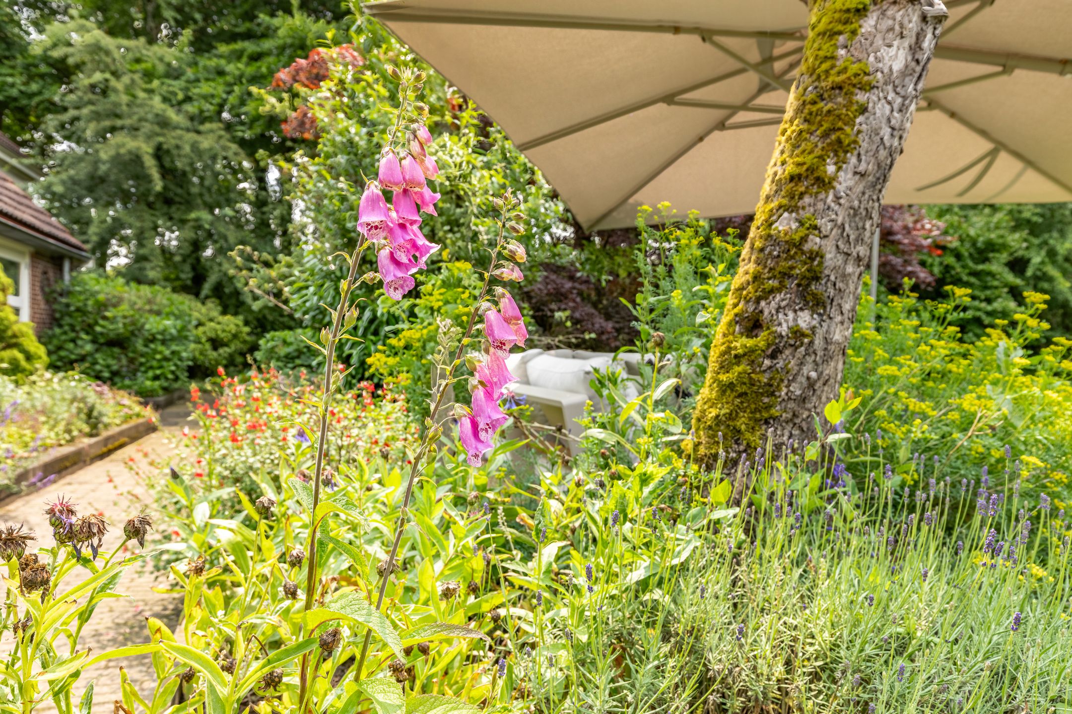 Foto 54 van Rijksstraatweg 19