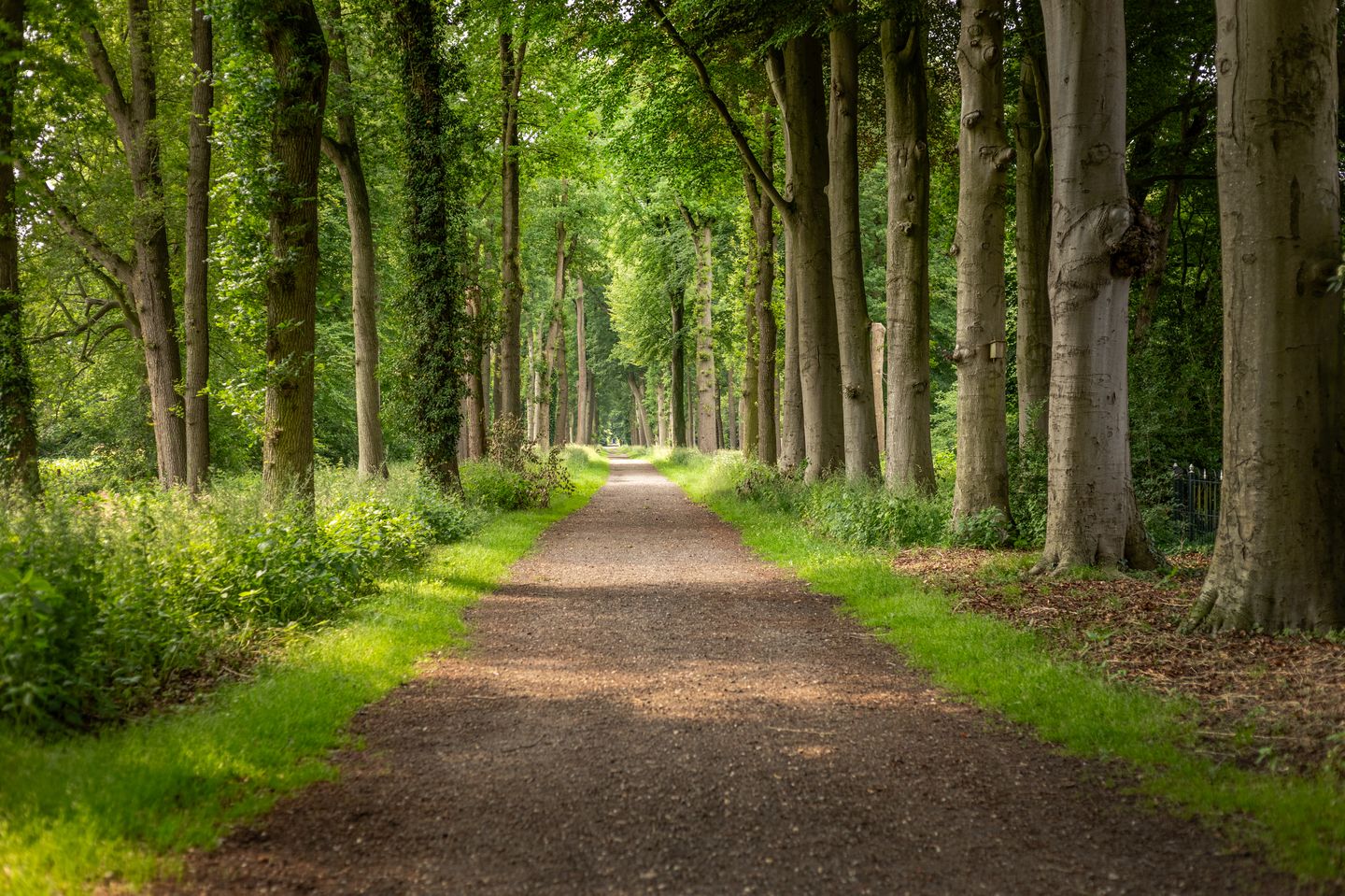 Foto 65 van Rijksstraatweg 19