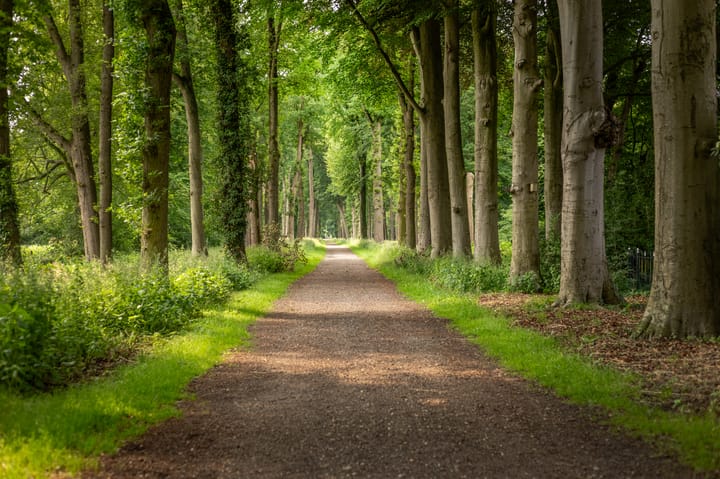 Foto 65 van Rijksstraatweg 19
