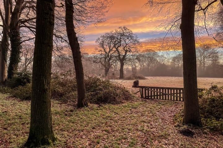 Foto 66 van Rijksstraatweg 19