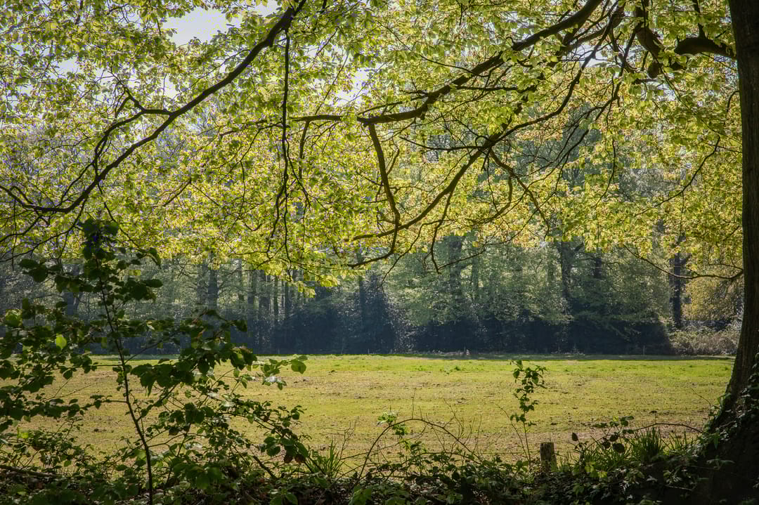 Foto 68 van Rijksstraatweg 19