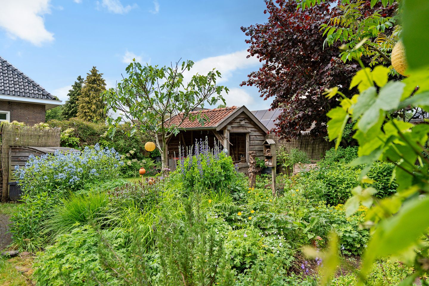 Photo 49 of Eikenlaan 3