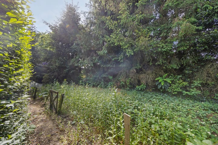 Foto 27 van Burgemeester Wientjensstraat 22