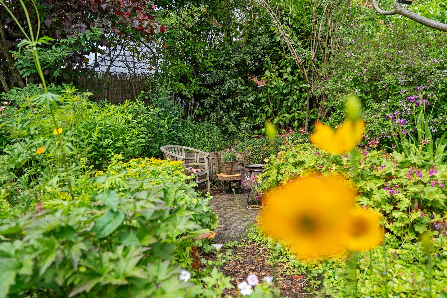 Photo 50 of Eikenlaan 3