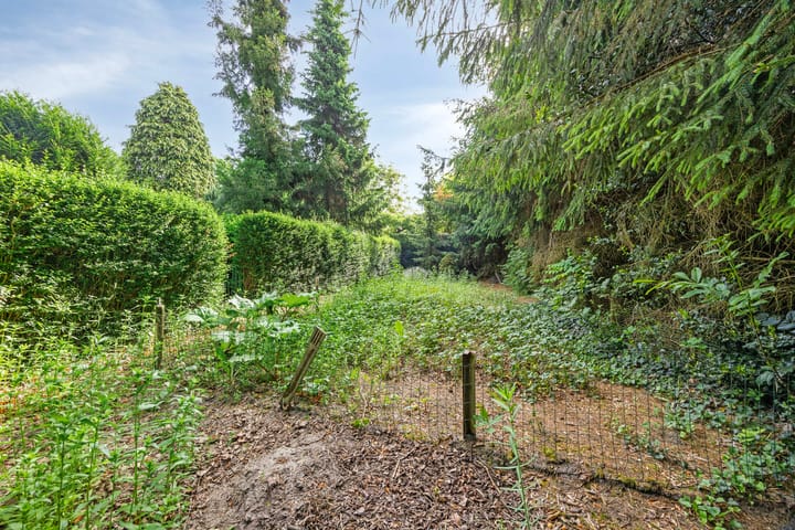 Foto 28 van Burgemeester Wientjensstraat 22